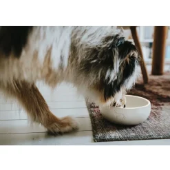 Hunter keramik Lund hunde skål 350 ml Beige
