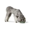 Hunter Keramik skål Osby 1900 ml khaki