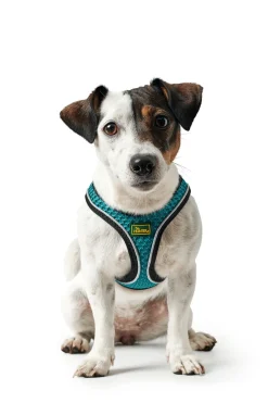 Hunter NY Hilo Comfort hundesele M-L turkis mave/bryst 65-70 cm - Let komfort og synlig pasform