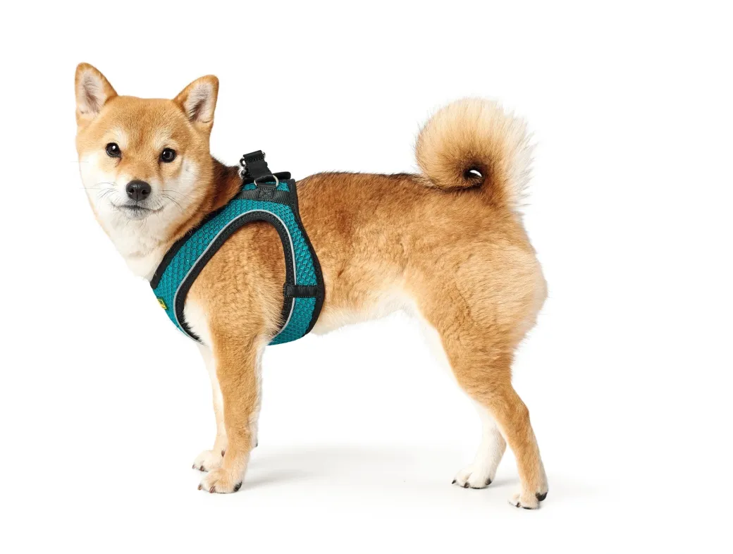 Hunter NY Hilo Comfort hundesele turkis M