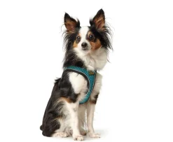 Hunter NY Hilo Comfort hundesele turkis M