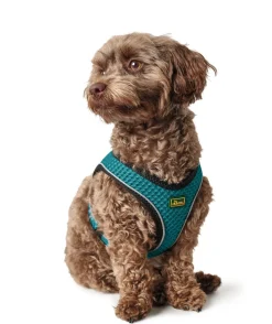 Hunter NY Hilo Comfort hundesele XXS-XS turkis mave/bryst 33-36 cm - Fleksibel let pasform til små hunde