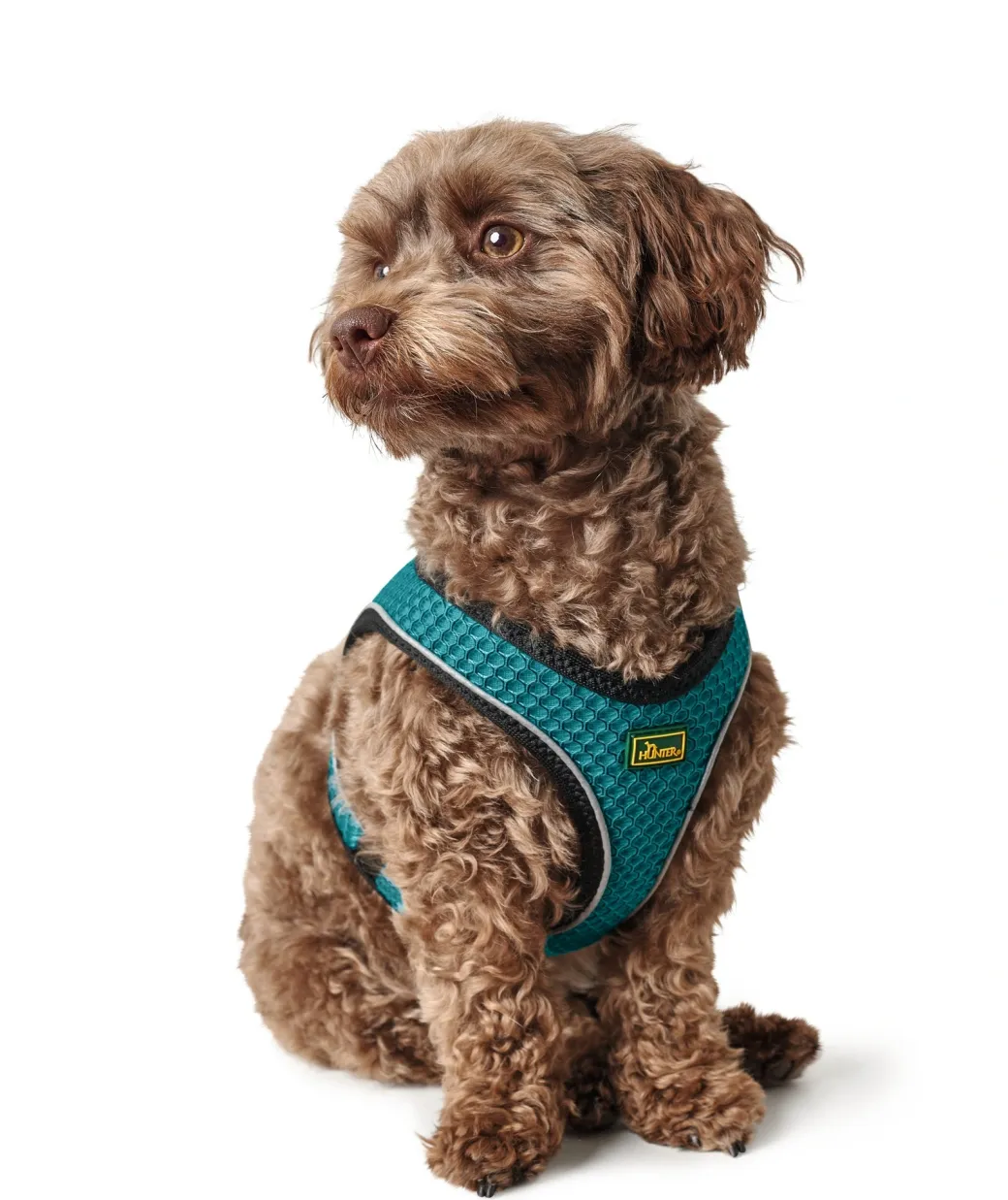 Hunter NY Hilo Comfort hundesele XS turkis mave/bryst 36-40 cm - Let komfort og fri bevægelse