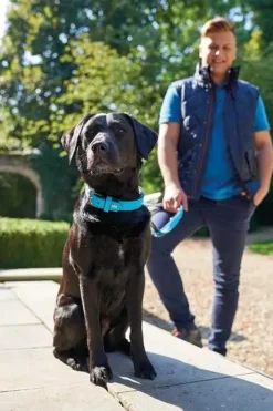 Hunter Softie hundehalsbånd 55 cm sort - 42-50 cm indstilling