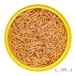 JBL ProNovo Red Insect S 100 ml Click