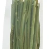 JR Farm Dild Stick 15 g