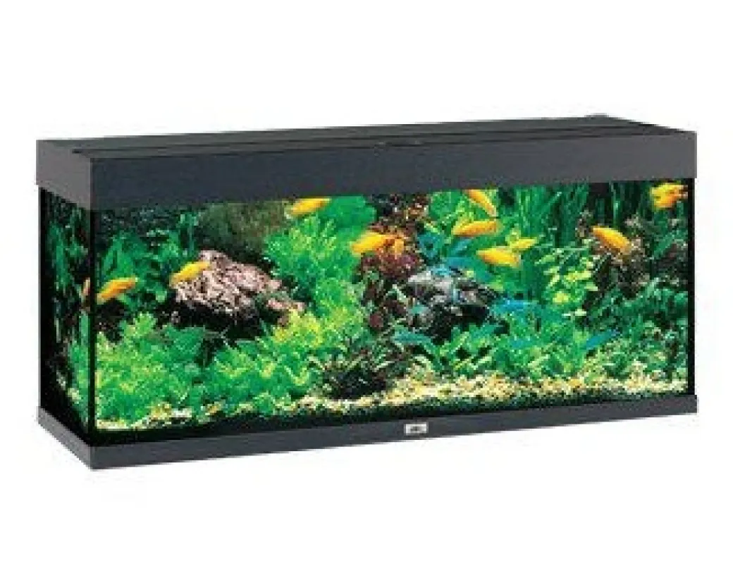 Juwel Rio 240 L Sort 121x41x55 cm