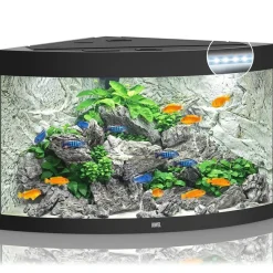 Juwel Trigon 190 LED Sort Aquarium