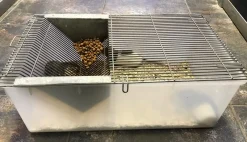 Labbur 4 (rottebur) brugt
