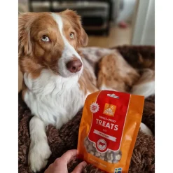 MUSH Treat Okse 55 g - naturlige frysetørrede hundesnacks