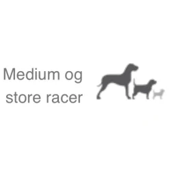 Natura Diet Lam og Ris Hundefoder 3 kg - Sundt og nærende til små og mellemstore hunde