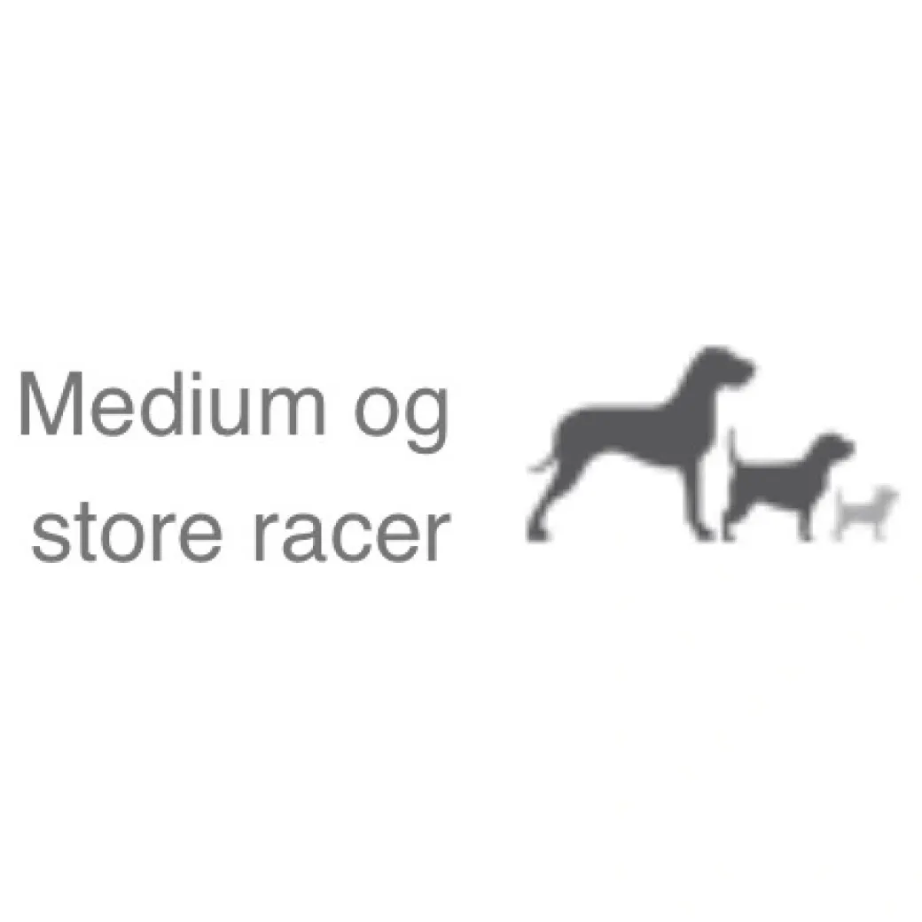 Natura Diet Lam og Ris Hundefoder 12 kg - Sundt foder