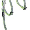 Nightcat Kattesele og Linesæt 8 mm Lime Swallows