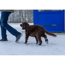 Ozami hundesokker M sort - 4 stk til små hundepoter