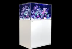 Red Sea Saltvandsakvarium Reefer XL 300 Hvid