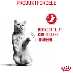 Royal Canin Appetite Control Care Sterilised 10 kg