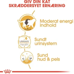 Royal Canin British shorthair Sovs - vådfoder 85 g