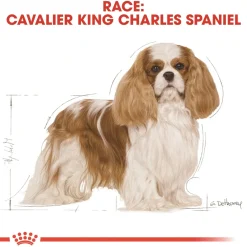 Royal Canin Cavalier King Charles Adult 7,5 kg - tørfoder til voksne hunde