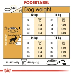 Royal Canin Cocker Spaniel Adult 3 kg - tørfoder til voksne hunde
