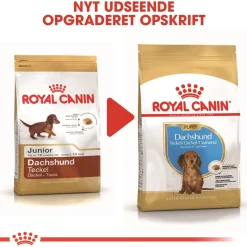 Royal Canin Dachshund Puppy 1,5 kg - tørfoder til Gravhund hvalpe