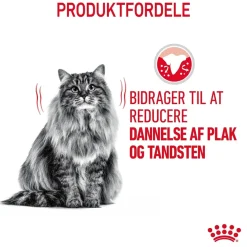 Royal Canin Dental Care 1,5 kg