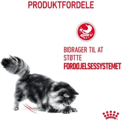 Royal Canin Digestive Care 400 gram