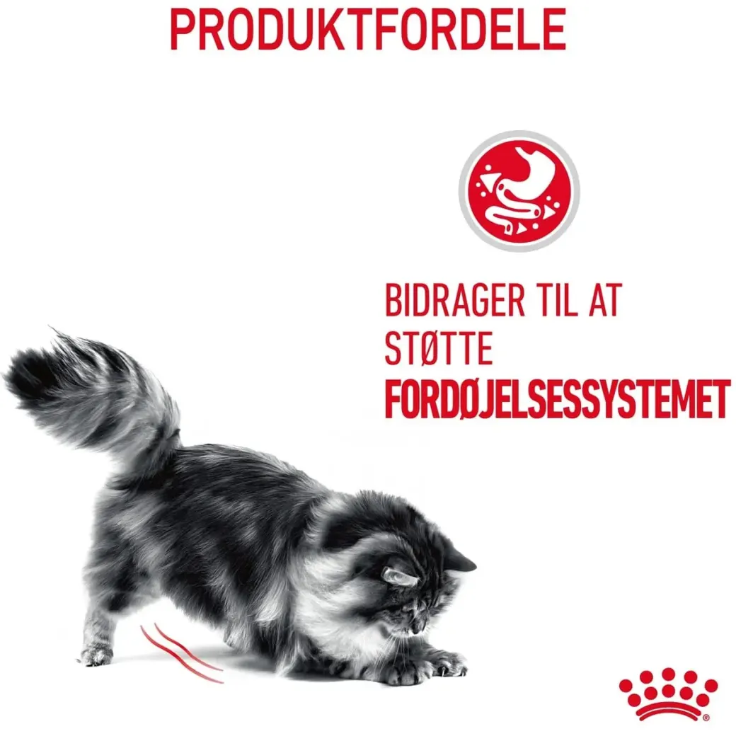 Royal Canin Digestive Care 2 kg