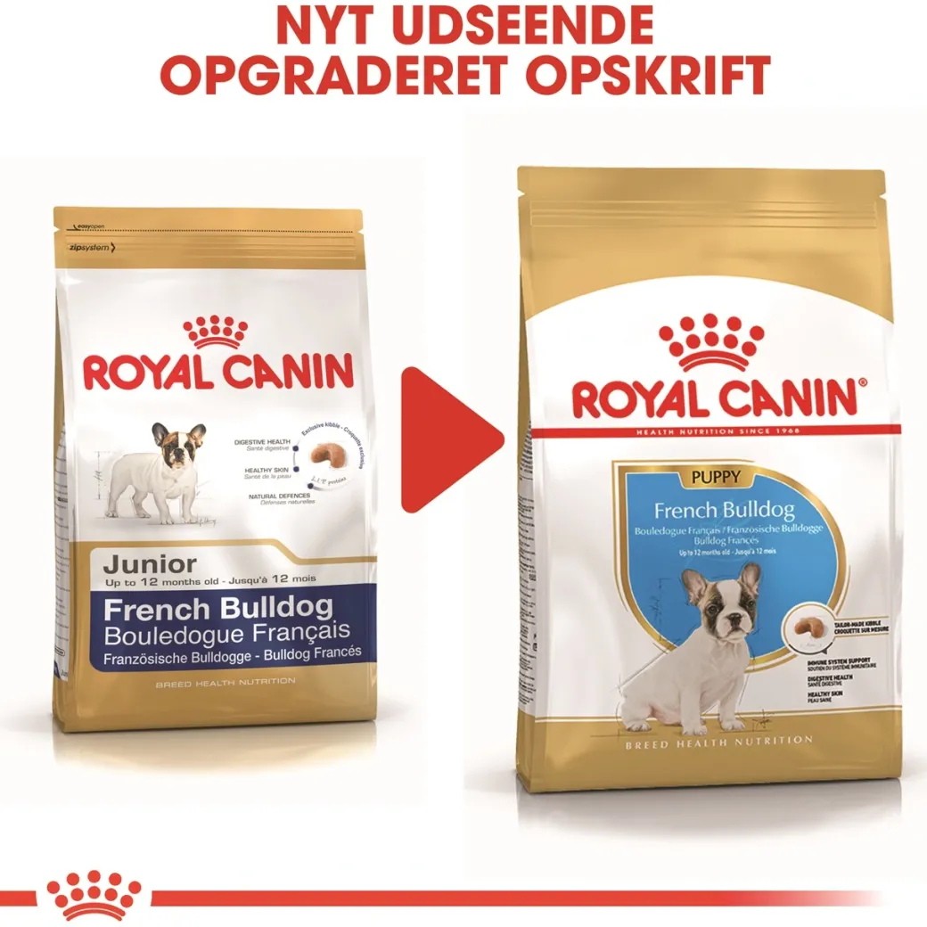 Royal Canin French Bulldog Puppy 10 kg - tørfoder til hvalpe