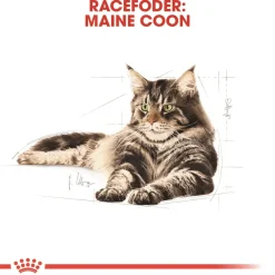 Royal Canin Maine Coon 400 gram
