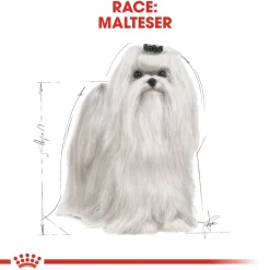 Royal Canin Maltese Adult 1,5 kg - tørfoder til maltesere