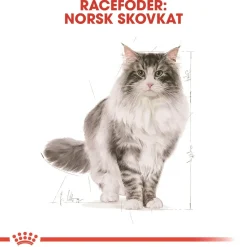 Royal Canin Norsk Skovkat 2 kg