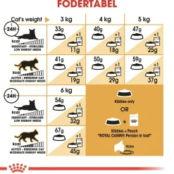 Royal Canin Persian 4 kg