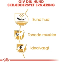 Royal Canin Pug Adult 7,5 kg - tørfoder til mops