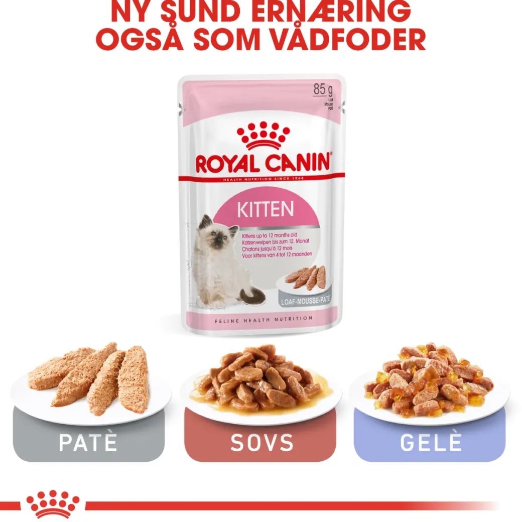 Royal Canin Second Age Kitten 2 kg