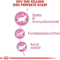 Royal Canin Second Age Kitten 2 kg