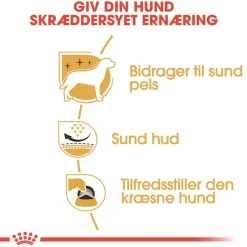 Royal Canin West Highland White Terrier Adult 1,5 kg - tørfoder til Westie