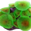 Selvlysende skive anemone