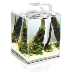 Shrimpset Day and Night 30 L 29x29x35 cm Hvid
