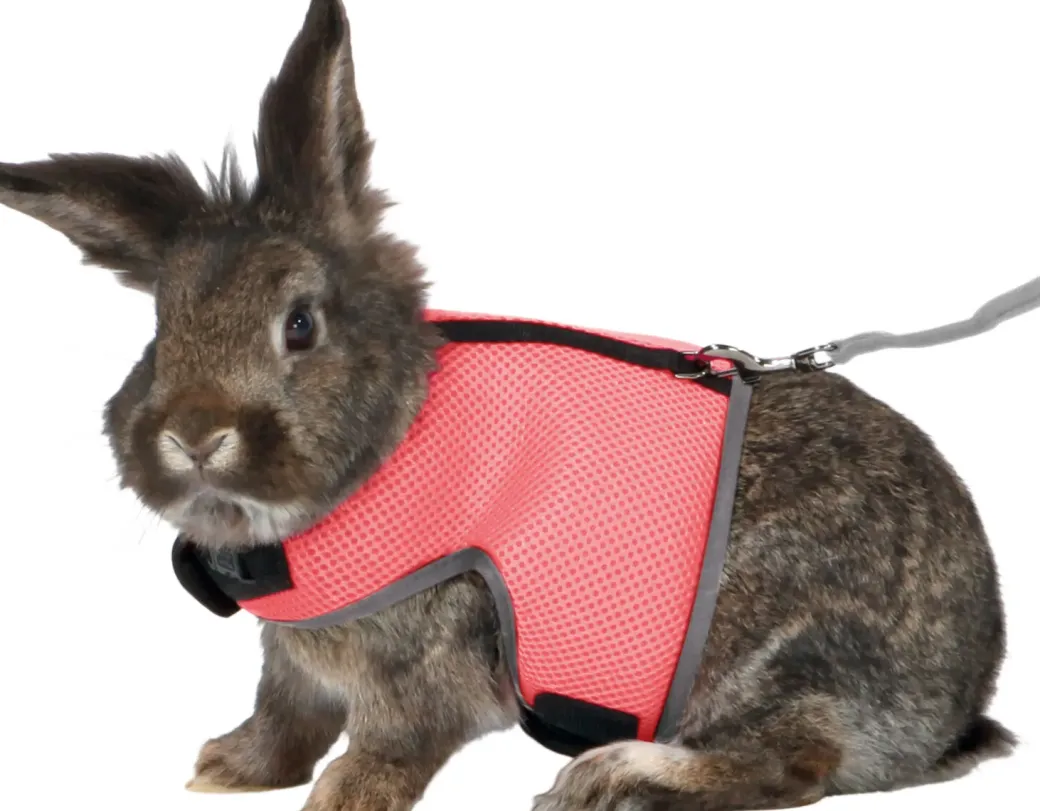 Trixie Soft sele 24-40 cm til stor Kanin med line