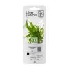 Tropica PCS Pot Microsorum pteropus Narrow x 3