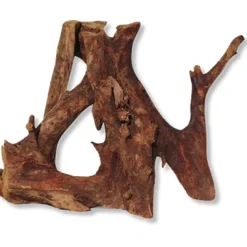 Trærod (Mangrovetræ) L 30-40 cm