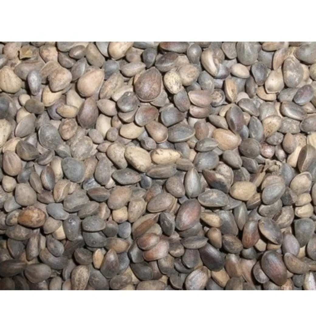 Tyroler nødder 25 kg