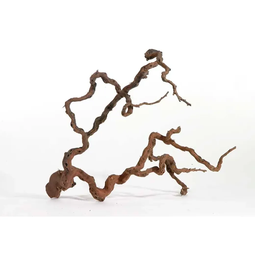 Vinrankerod 70-100 cm (Winewood)