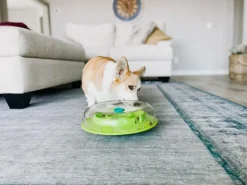 Wobble Bowl Grøn Niveau 1 - interaktiv foderskål til hunde